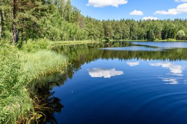 Beyaz bulutların üzerinde orman göl üzerinde mavi gökyüzü