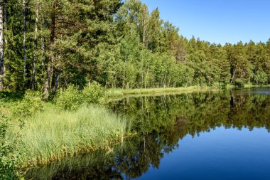 Beyaz bulutların üzerinde orman göl üzerinde mavi gökyüzü