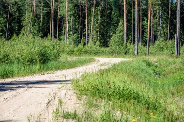 Yaz aylarında kırsalında boş yol