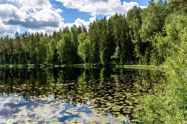 Reflektioner i vattnet lugn sjö med näckrosor — Stockfoto