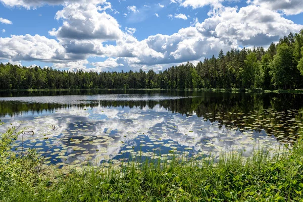 Reflektioner i vattnet lugn sjö med näckrosor — Stockfoto
