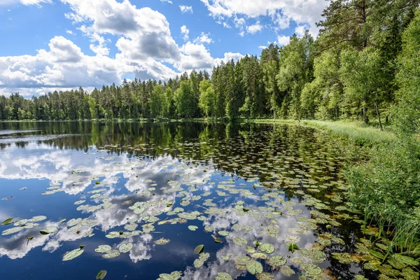 Reflejos en el tranquilo agua del lago con nenúfares — Foto de Stock