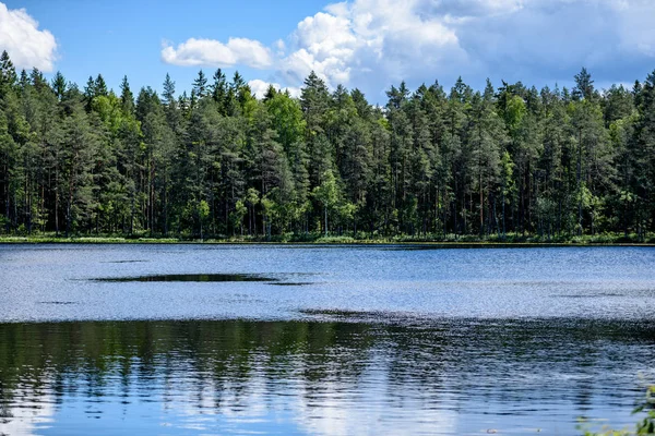 숲의 호수 위에 푸른 하늘에 흰 구름 — 스톡 사진