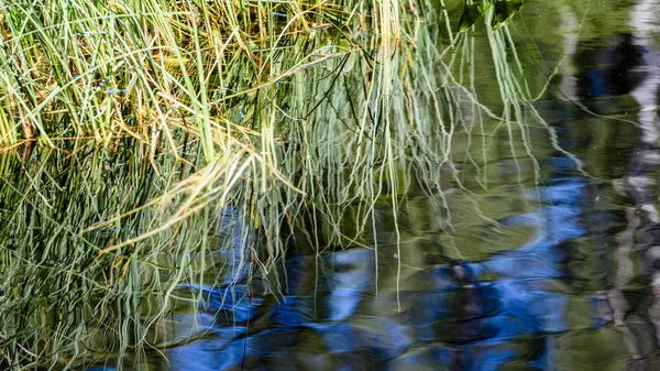 Reflexión abstracta a mediados de verano en el agua —  Fotos de Stock