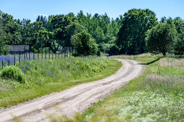 Strada vuota in campagna in estate — Foto Stock