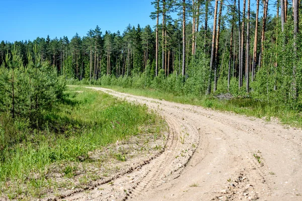 Пустая дорога в сельской местности летом — стоковое фото