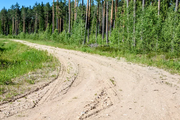 Пустая дорога в сельской местности летом — стоковое фото