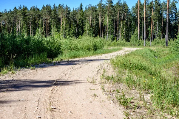 Route vide à la campagne en été — Photo