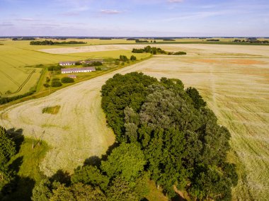 Drone görüntü. Buğday alanı ile kırsal bölgenin havadan görünümü