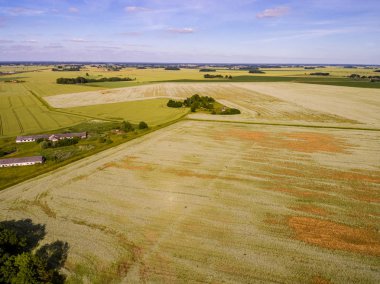 Drone görüntü. Buğday alanı ile kırsal bölgenin havadan görünümü