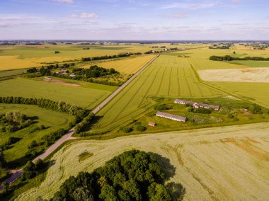 Drone görüntü. Buğday alanı ile kırsal bölgenin havadan görünümü