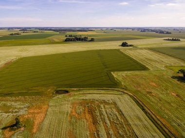 Drone görüntü. Buğday alanı ile kırsal bölgenin havadan görünümü
