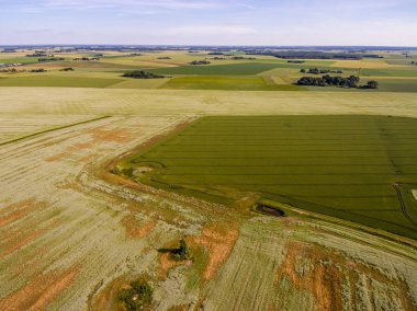Drone görüntü. Buğday alanı ile kırsal bölgenin havadan görünümü