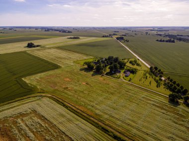 Drone görüntü. Buğday alanı ile kırsal bölgenin havadan görünümü