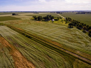 Drone görüntü. Buğday alanı ile kırsal bölgenin havadan görünümü