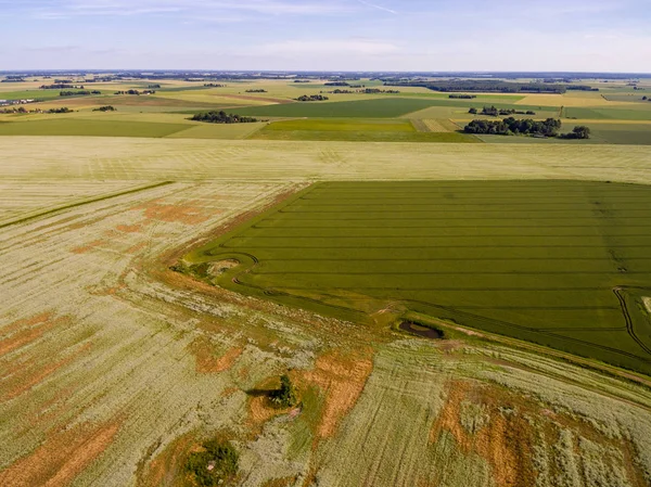Drone görüntü. Buğday alanı ile kırsal bölgenin havadan görünümü