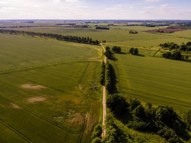 Drone görüntü. alanları ve ormanları ile kırsal bölgenin havadan görünümü