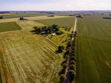 Drone görüntü. alanları ve ormanları ile kırsal bölgenin havadan görünümü
