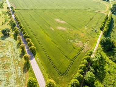 Drone görüntü. alanları ve ormanları ile kırsal bölgenin havadan görünümü