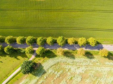 Drone görüntü. alanları ve ormanları ile kırsal bölgenin havadan görünümü