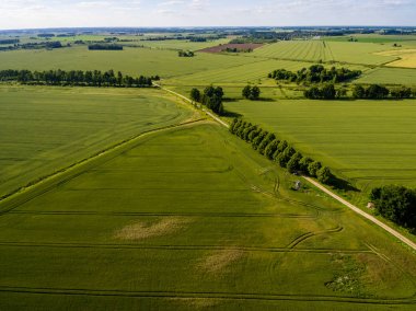 Drone görüntü. alanları ve ormanları ile kırsal bölgenin havadan görünümü
