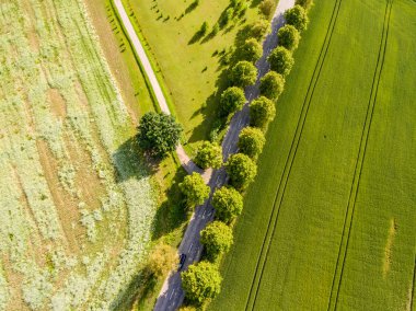 Drone görüntü. alanları ve ormanları ile kırsal bölgenin havadan görünümü