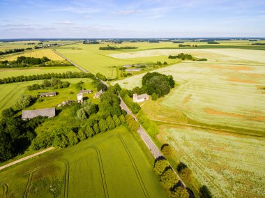 Drone görüntü. alanları ve ormanları ile kırsal bölgenin havadan görünümü
