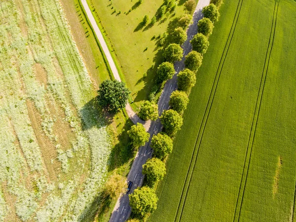 Drone görüntü. alanları ve ormanları ile kırsal bölgenin havadan görünümü