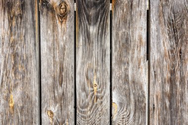 kıymıklar ve çatlaklar ile ahşap tahta