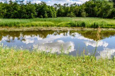 Göldeki bulutların yansıması