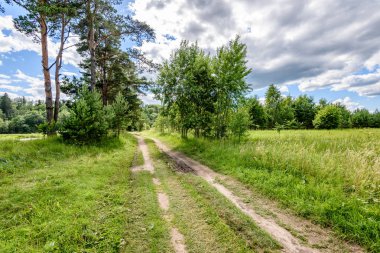 Kırsalda boş bir yol