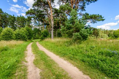Kırsalda boş bir yol