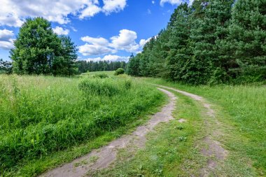 Kırsalda boş bir yol