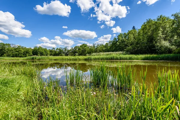Göldeki bulutların yansıması
