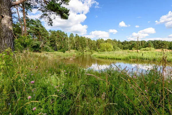 Göldeki bulutların yansıması