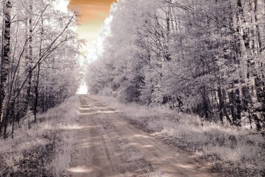 kızılötesi kamera görüntüsü. kırsal kesimde çakıl yol