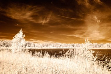 kızılötesi kamera görüntüsü. su yansımalar
