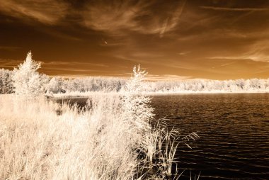 kızılötesi kamera görüntüsü. su yansımalar