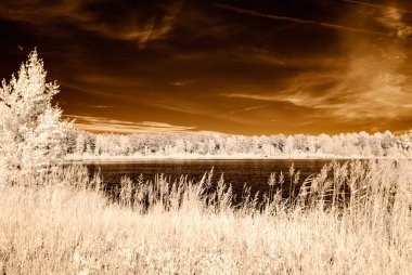 kızılötesi kamera görüntüsü. su yansımalar