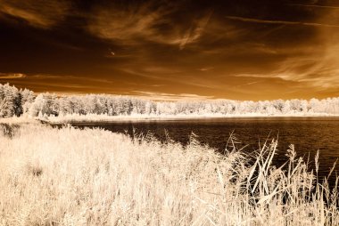 kızılötesi kamera görüntüsü. su yansımalar