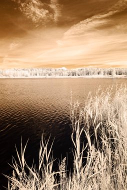 kızılötesi kamera görüntüsü. su yansımalar