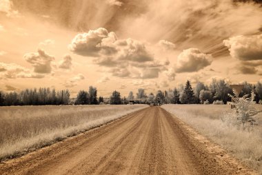 kızılötesi kamera görüntüsü. kırsal kesimde çakıl yol