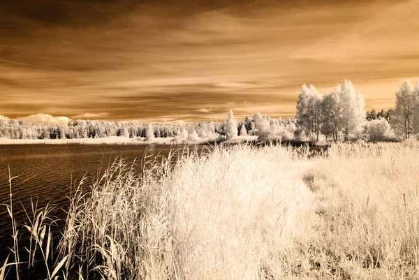 Infrared camera image. reflections in water — kuvapankkivalokuva