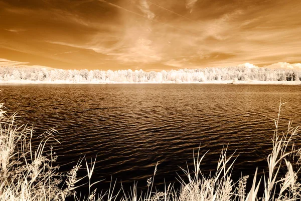 赤外線カメラ画像。水の反射 — ストック写真