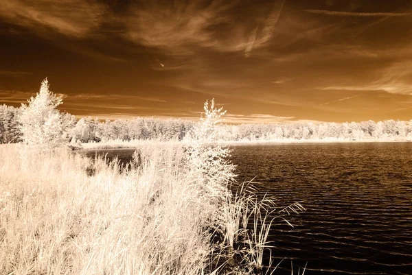kızılötesi kamera görüntüsü. su yansımalar