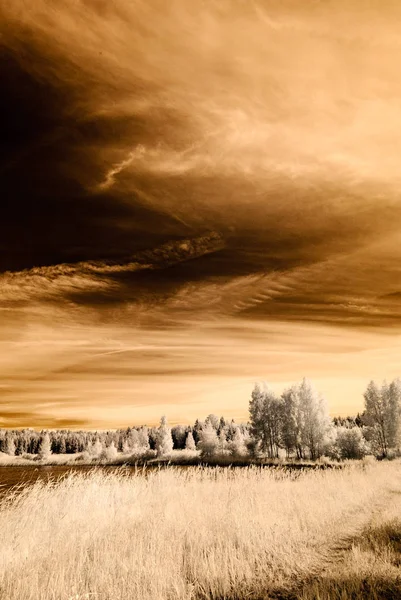 kızılötesi kamera görüntüsü. Yeşil alanlar açmak