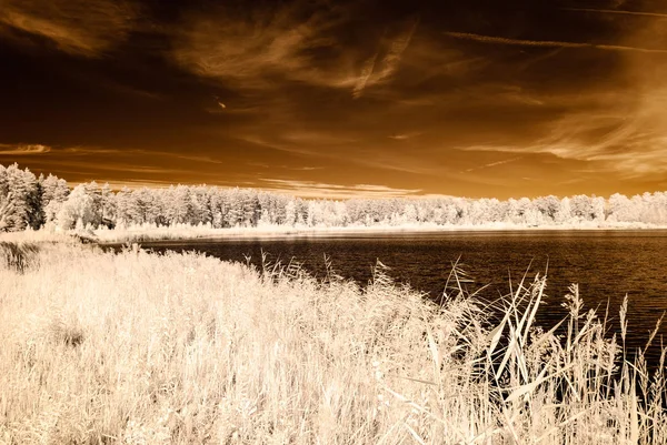 赤外線カメラ画像。水の反射 — ストック写真