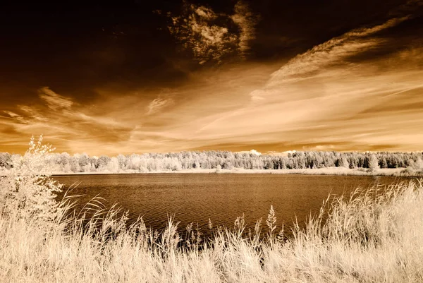 kızılötesi kamera görüntüsü. su yansımalar