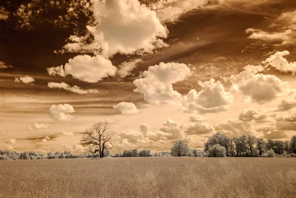 infrared camera image. open green fields