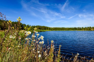 Göldeki bulutların yansıması